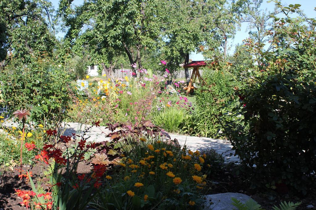Pensiunea Casa Noastra Baia de Fier Dış mekan fotoğraf