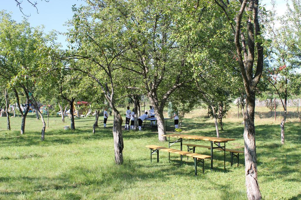 Pensiunea Casa Noastra Baia de Fier Dış mekan fotoğraf