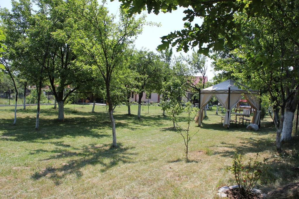 Pensiunea Casa Noastra Baia de Fier Dış mekan fotoğraf
