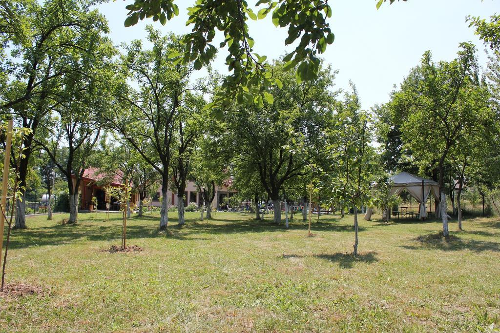 Pensiunea Casa Noastra Baia de Fier Dış mekan fotoğraf