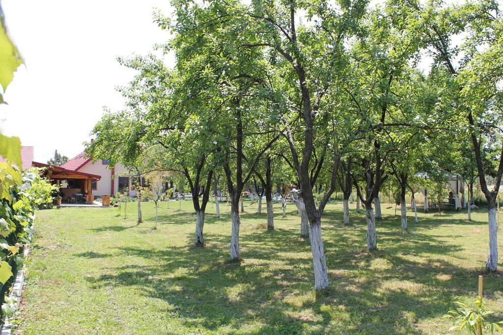 Pensiunea Casa Noastra Baia de Fier Dış mekan fotoğraf
