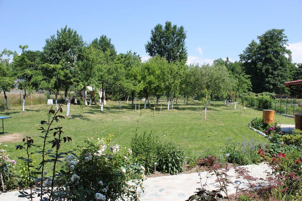 Pensiunea Casa Noastra Baia de Fier Dış mekan fotoğraf