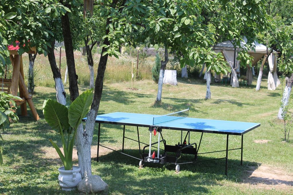 Pensiunea Casa Noastra Baia de Fier Dış mekan fotoğraf