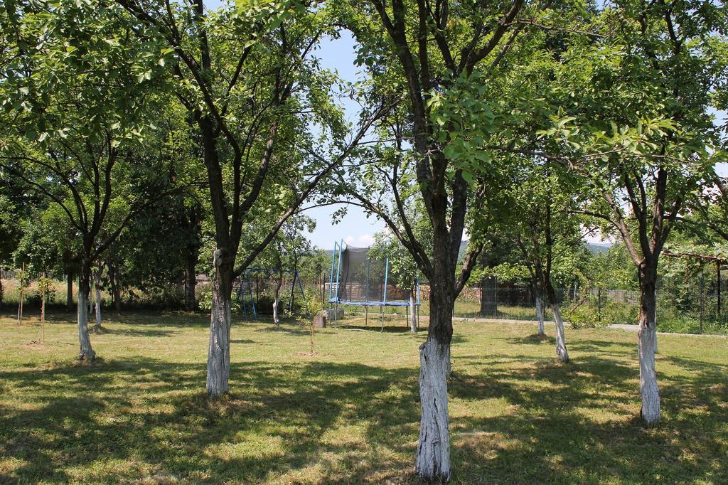 Pensiunea Casa Noastra Baia de Fier Dış mekan fotoğraf