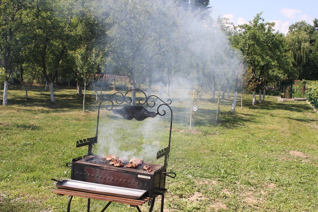 Pensiunea Casa Noastra Baia de Fier Dış mekan fotoğraf