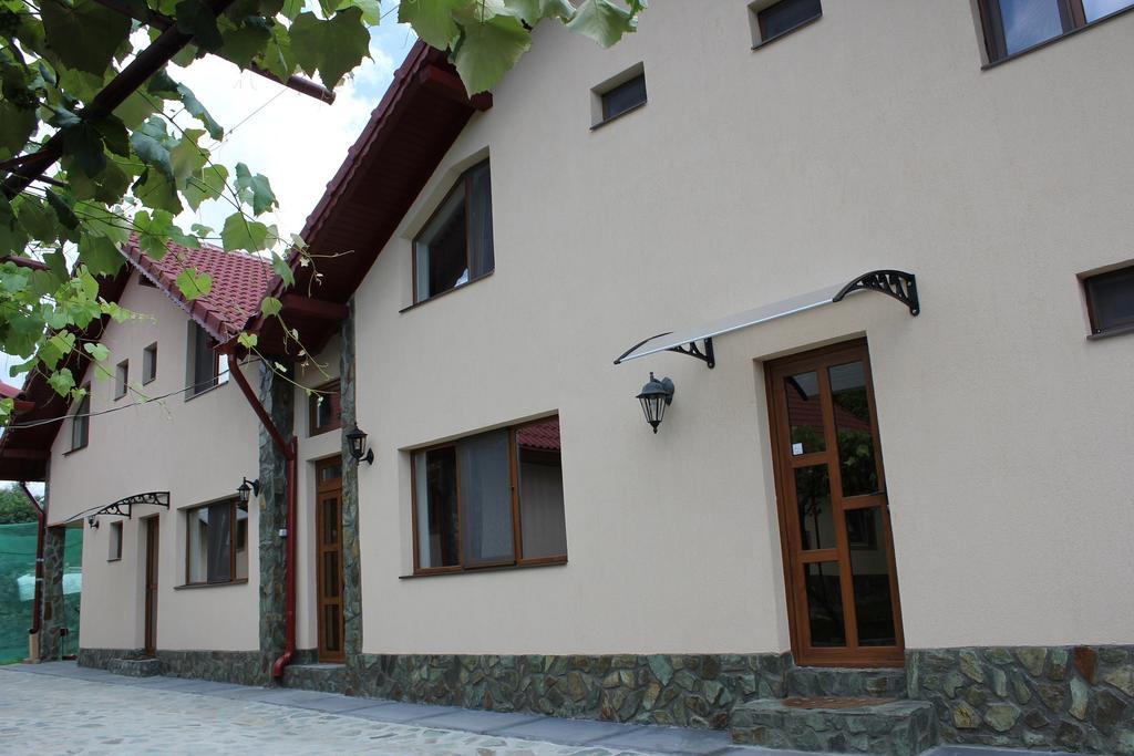 Pensiunea Casa Noastra Baia de Fier Dış mekan fotoğraf