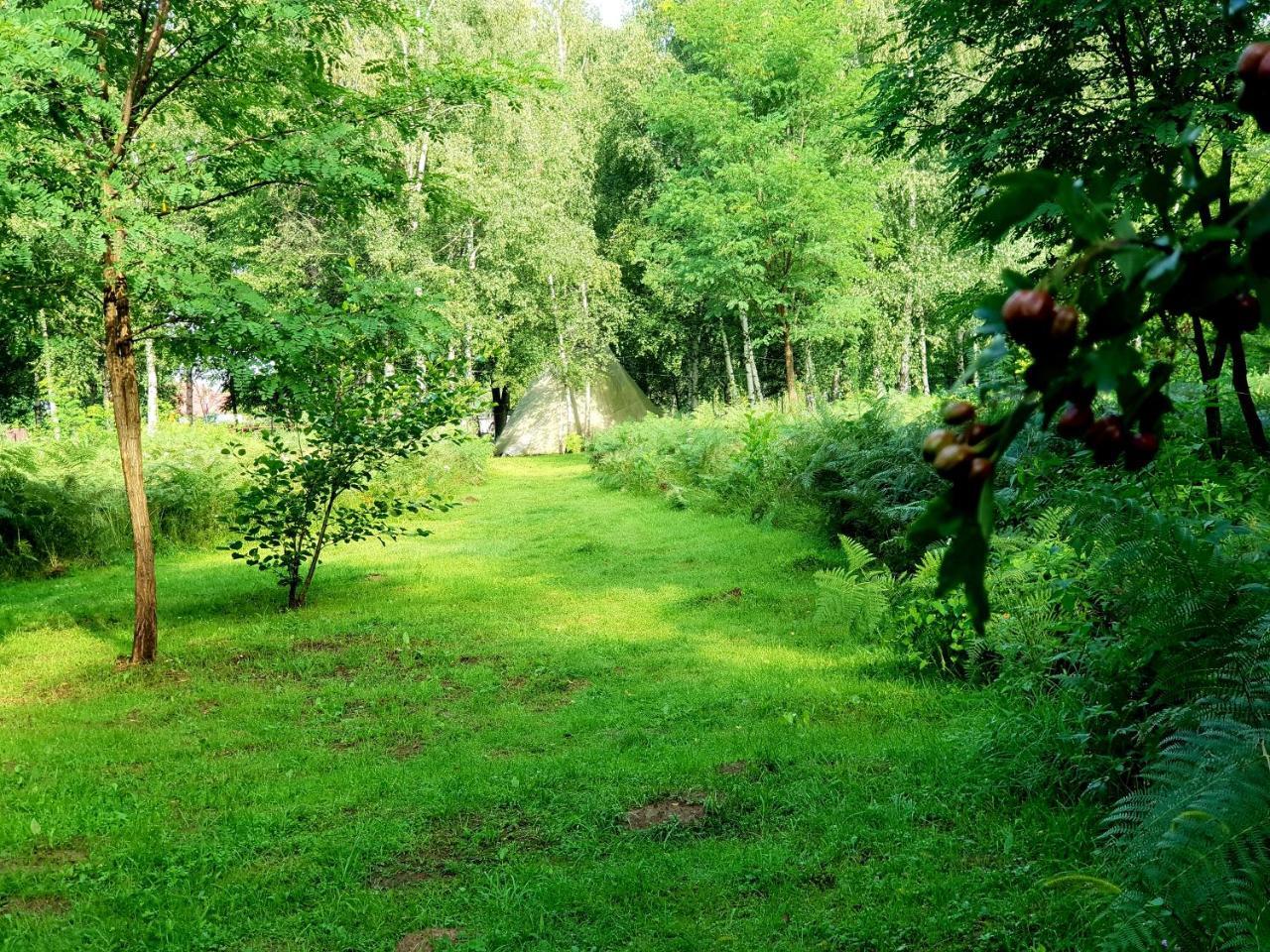 Pensiunea Casa Noastra Baia de Fier Dış mekan fotoğraf